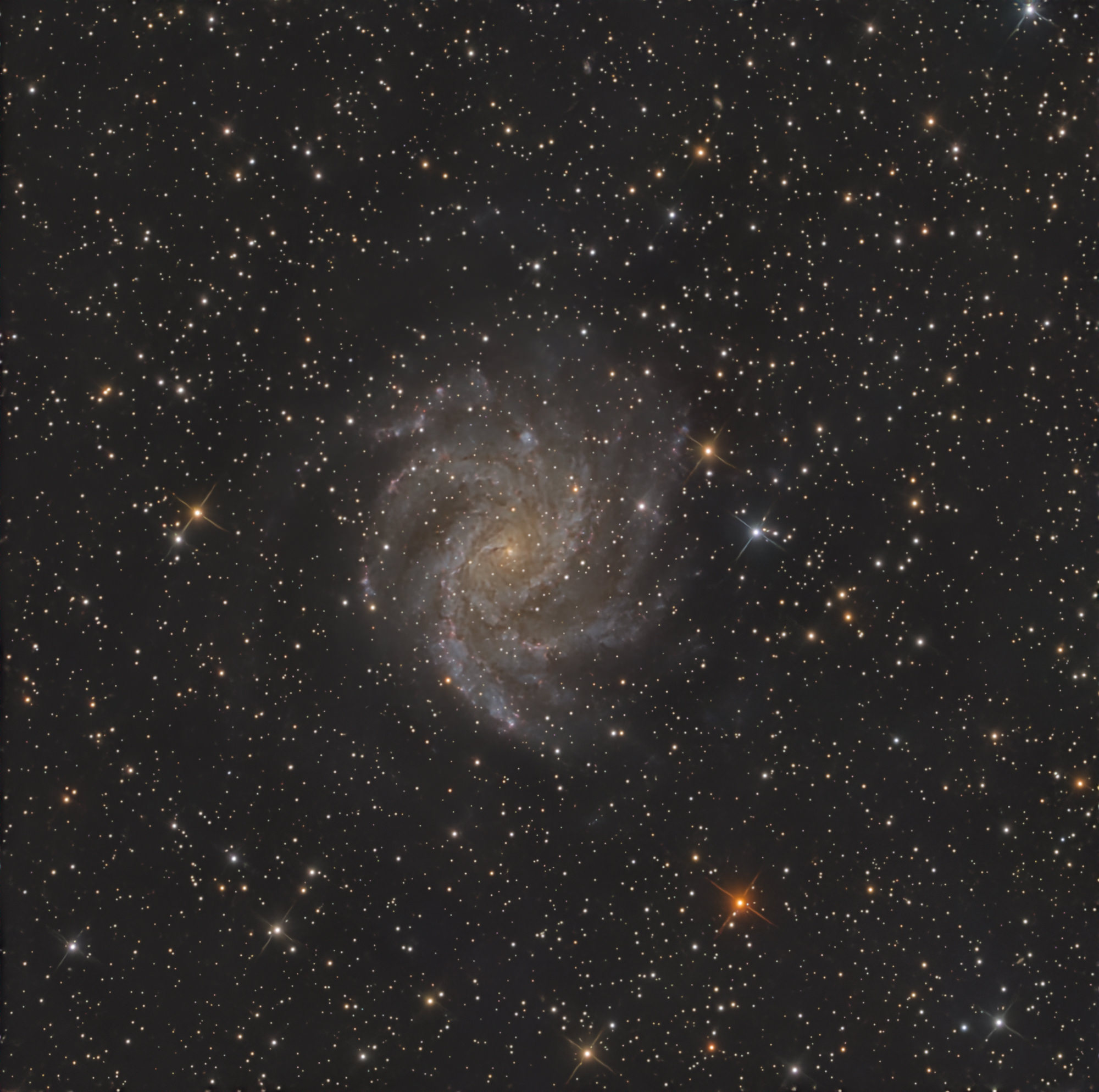 Die Fireworks Galaxy, NGC 6946 ist eine Balken-Spiralgalaxie im Sternbild Kepheus am Nordsternhimmel.